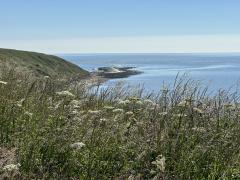 Filey Brigg